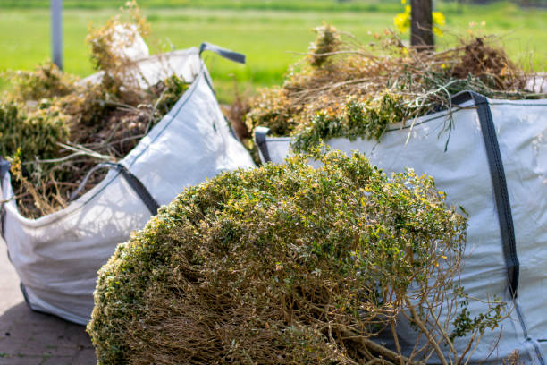 Best Basement Cleanout Services  in Zion, IL