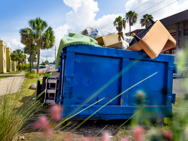 Best Affordable Junk Removal Services  in Zion, IL